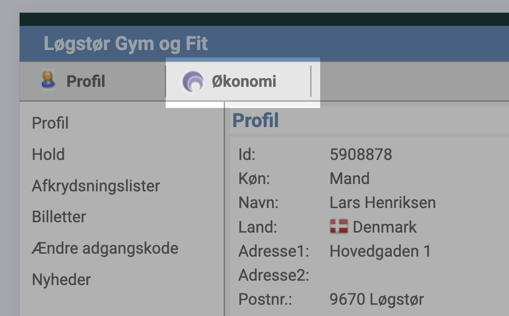 Topmenuen med &ldquo;Økonomi&rdquo; fremhævet